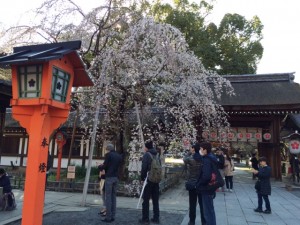 平野神社